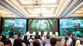 Lý do 97% doanh nghiệp Việt Nam vẫn gặp khó trong chuyển đổi số, chuyển đổi xanh