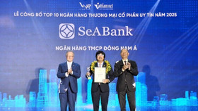 Top 10 ngân hàng thương mại tư nhân uy tín tiếp tục gọi tên SeABank