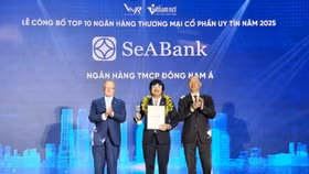 Top 10 ngân hàng thương mại tư nhân uy tín tiếp tục gọi tên SeABank