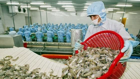 Ngân hàng 'bơm' 100.000 tỷ hỗ trợ ngành nông, lâm, thủy sản