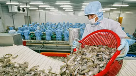 Ngân hàng 'bơm' 100.000 tỷ hỗ trợ ngành nông, lâm, thủy sản