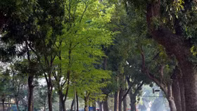 Bước ngoặt xanh quan trọng vì phát triển bền vững