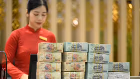 Nhiều ngân hàng đối mặt thách thức lớn về vốn từ Thông tư 14