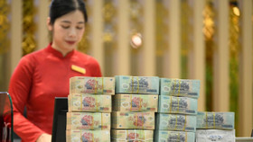 Lời giải cho bài toán huy động vốn của doanh nghiệp Việt Nam