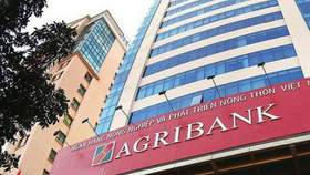 Ngân hàng Nhà nước cảnh báo rủi ro tín dụng tại hàng loạt chi nhánh Agribank