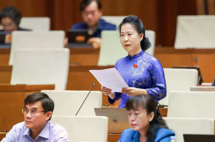 Đại biểu Tô Ái Vang (Đoàn thành phố Cần Thơ)